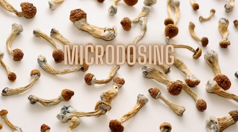 Microdosing course artwork with mushrooms