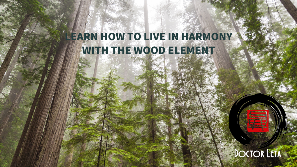 Spring — Wood Element course artwork by Doctor LeTa