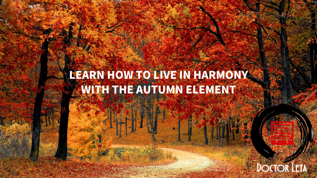 Autumn forest with the words Learn how to live in harmony with the autumn element and Doctor LeTa logo